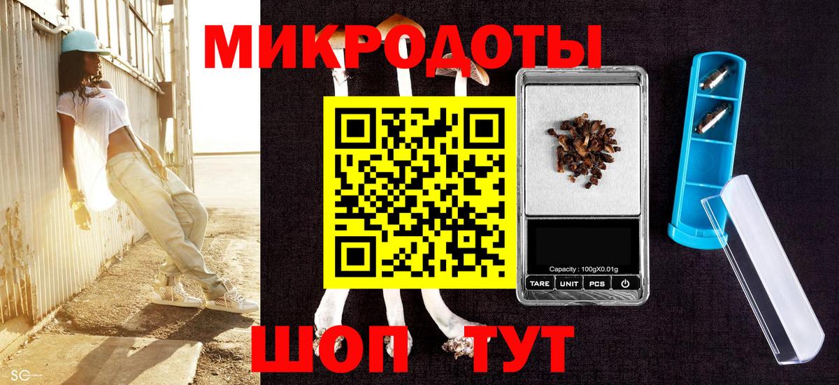 Галлюциногенные грибы Psilocybine cubensis Канаш