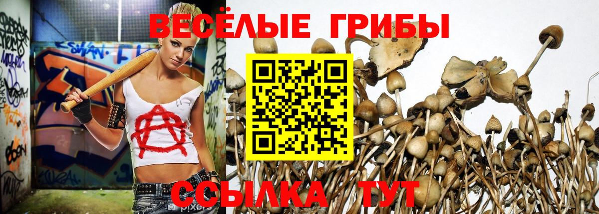Псилоцибиновые грибы ЛСД  Вход с VPN  Канаш 